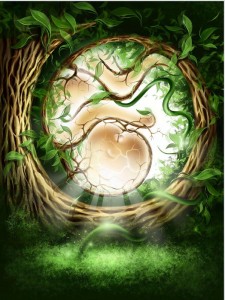 kabbal tree