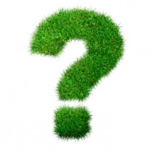 question-300x299